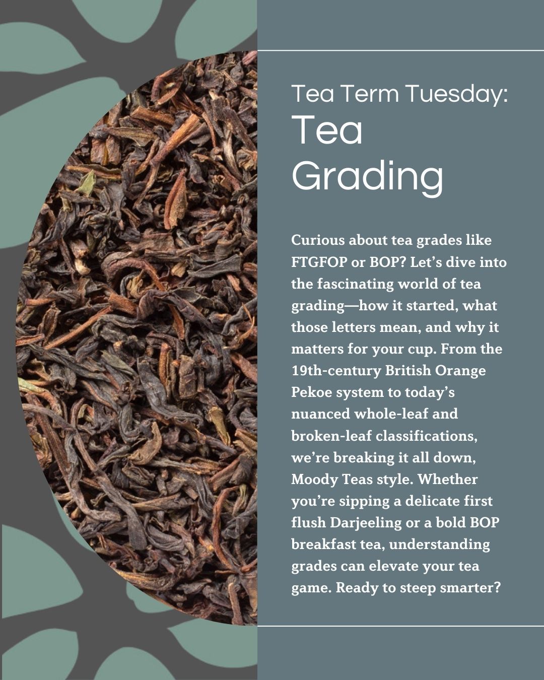 Tea Term Tuesday: Tea Grading