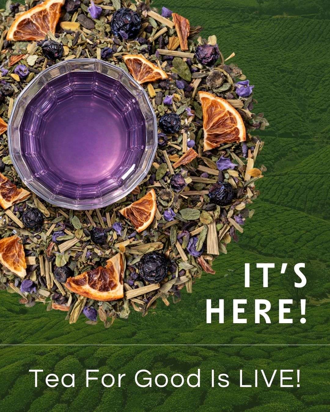 Tea for Good: Why We Created a Tea That Gives Back